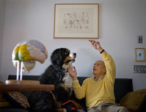 信息轰炸在线使用免费